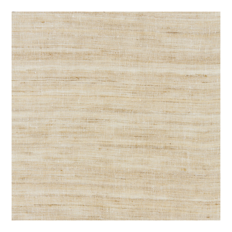 Modern Luxury Tussah Sheer Fabric, Champagne