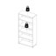 Longii Standard Bookcase-578422859-578422858