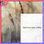 Rideau de douche Dragonfly Rhaegan-91884986