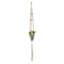 Pot suspendu suspendu en macramé de style Dakota Fields