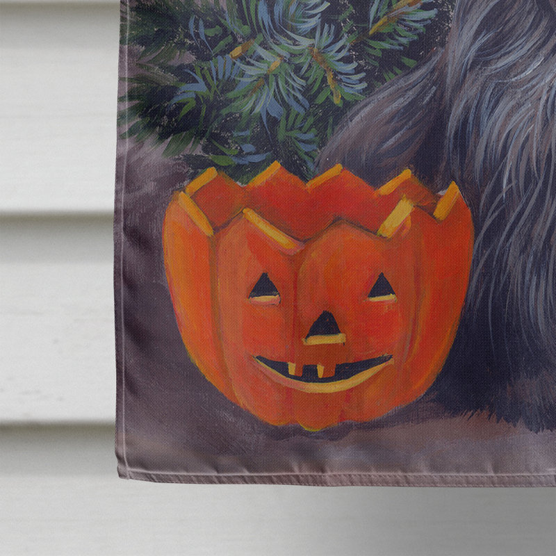Drapeau de maison Hvidovre Sheltie Halloween en polyester à 2 faces 3 x 2 pi, Terrier écossais toutes saisons