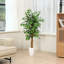 Ficus en pot 48 po