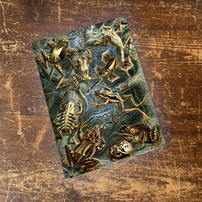 Wall Decor on Metal