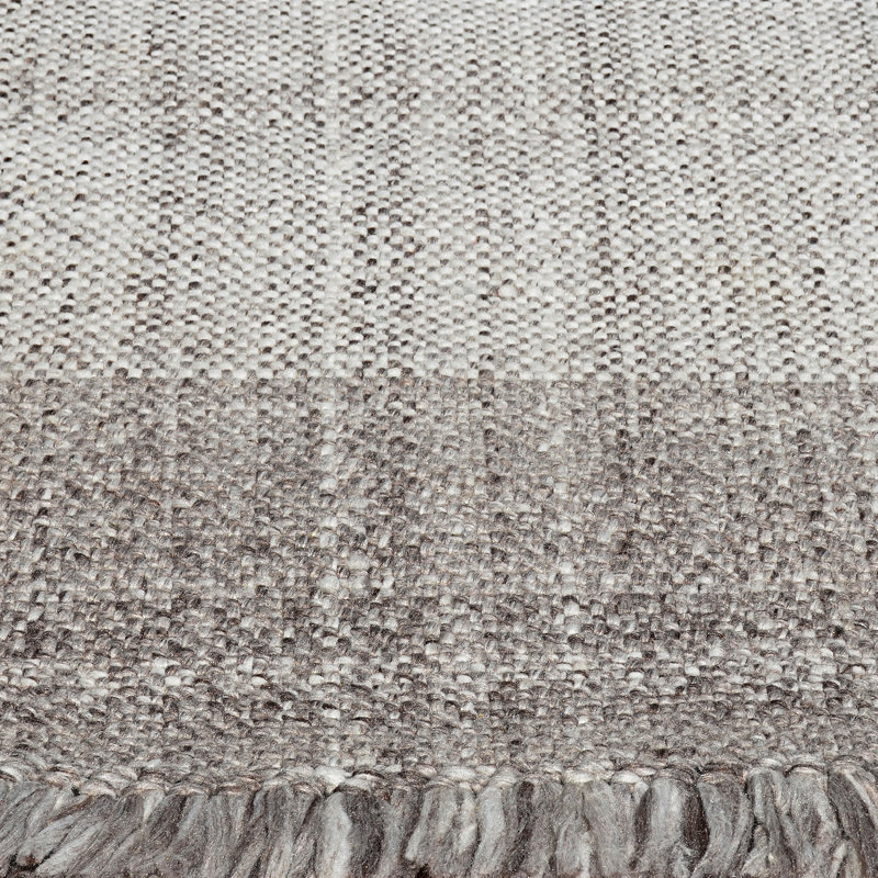 Tapis gris tissé à la main Debarath, Rectangle 5 pi x 8 pi