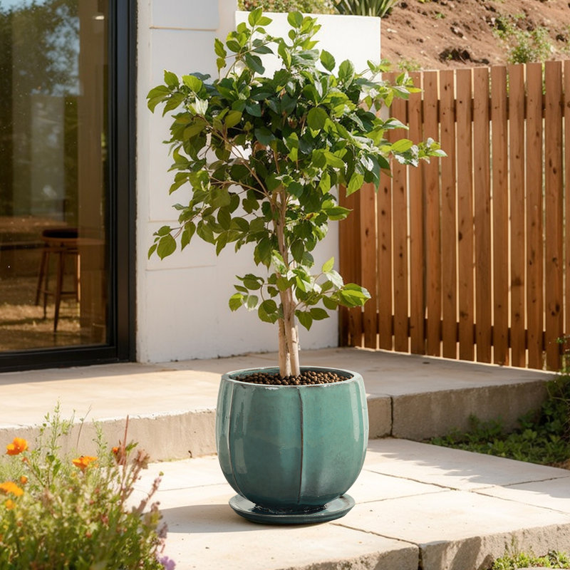 Grande jardinière ronde en céramique 14,2 po Dia Jade Green avec soucoupe attachée, H 13,39 po x 14,17 po de diamètre