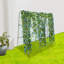 Treillis de jardin pour les plantes grimpantes
