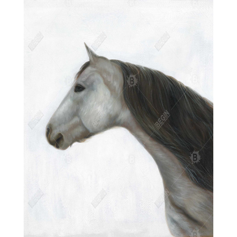 " Winter Horse "