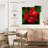 Red Hibiscus Flowers-109221696