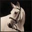 Animals Print by Studio L57 Narrative-2031349942