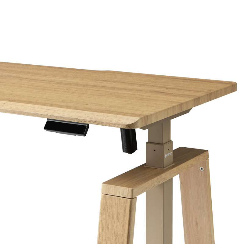 Bureau debout ergonomique électrique avec bord incliné à 30 °, style bois naturel, élévateur silencieux pour le bureau à domicile