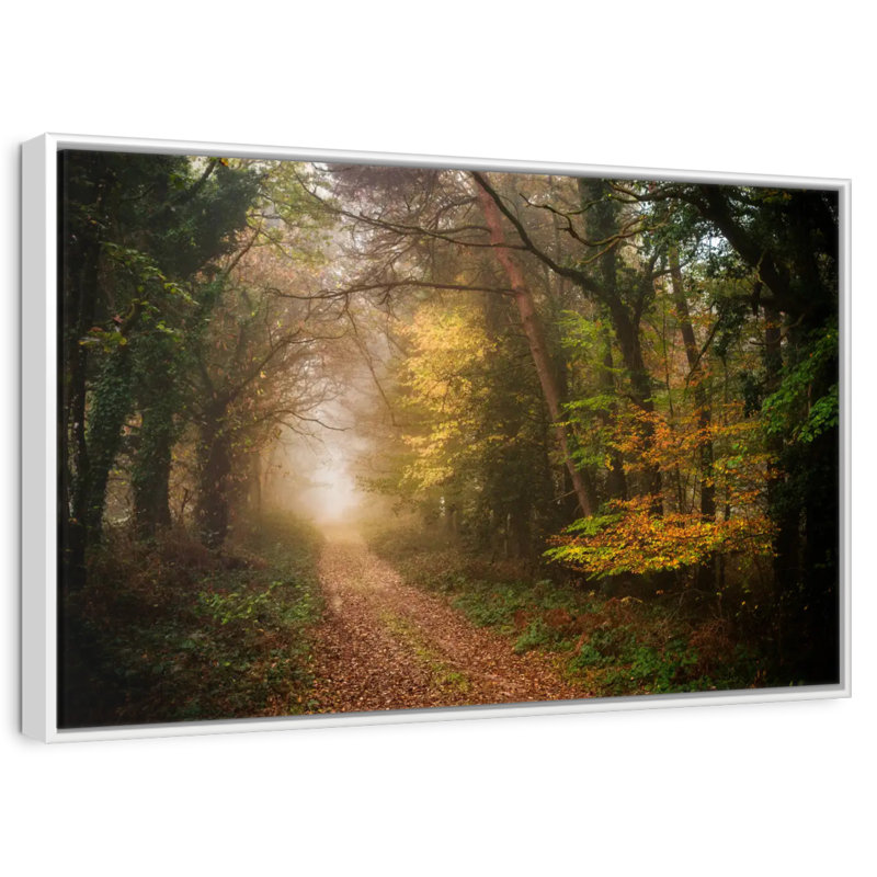 Chemin dans la forêt d'automne, Cadre flottant blanc, 13 po x 9 po