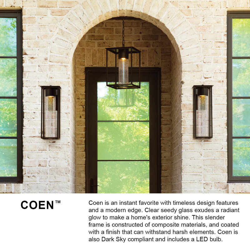Hinkley Coen Hanging Lantern, Black