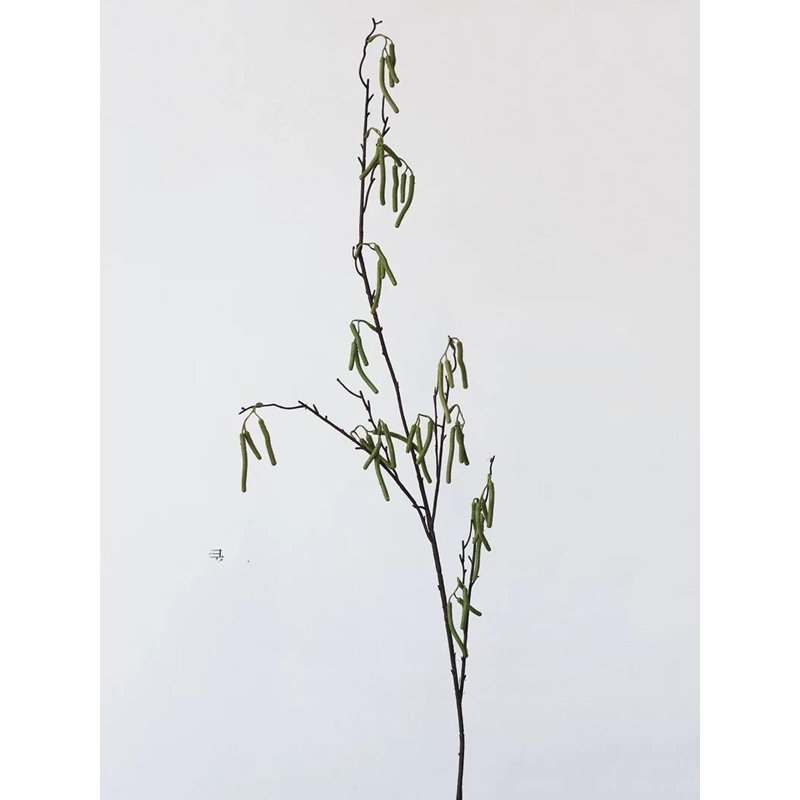 Branche de chat sauvage - 44,5 po, [C] 6 Stems