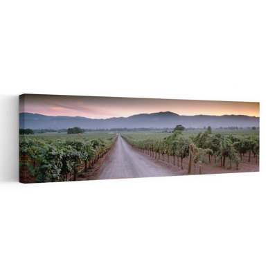 Route dans un vignoble, vallée de Napa, Californie, États-Unis, paysage contemporain abstrait de montagne tranquille