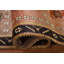 All-Over Wool Traditional Area Rug 4x6