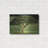 " Single Tree " by Dennis Frates-764541758