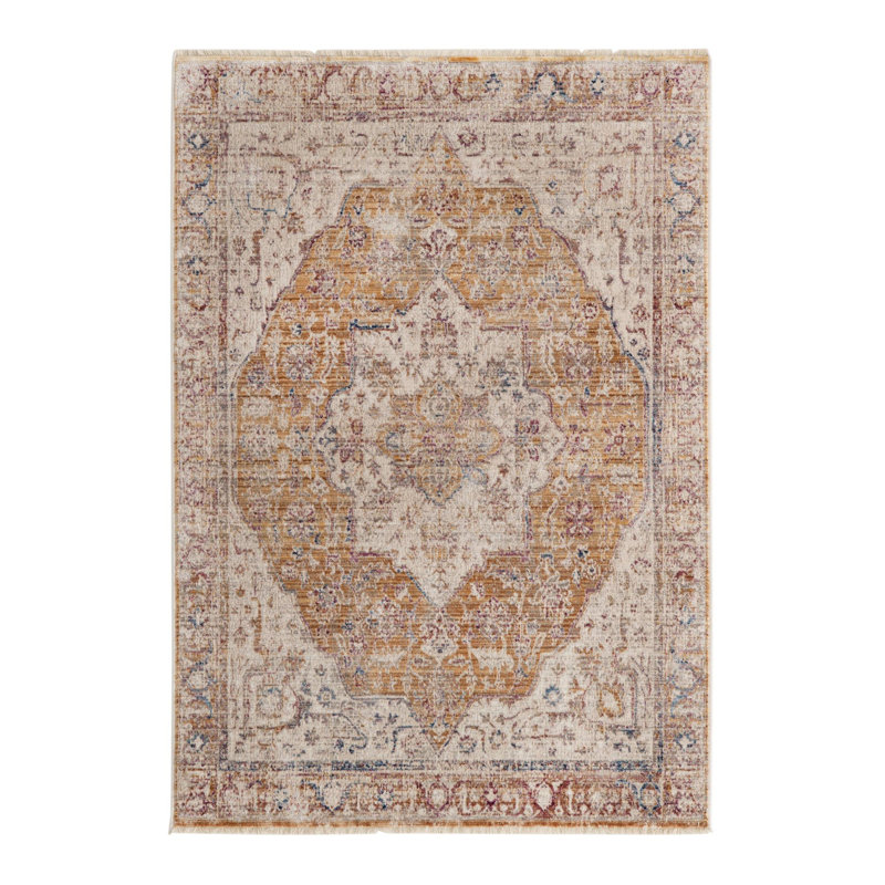 Stephania Oriental Indoor Rug, Rectangle 4' x 5'10"