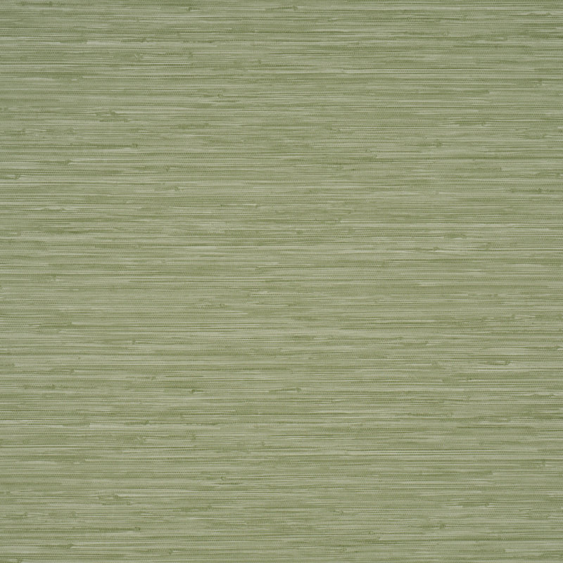 Papier peint horizon Horizon, Vert