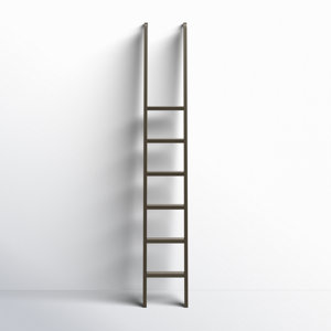 Lorna 7.5 ft Steel Straight Ladder