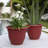 Ariana Self-Watering Indoor/Outdoor Pot Planter Bundle-32171086-28048586-28112774