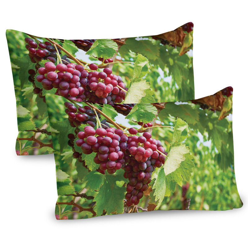 Ensemble de 2 taies décoratives à motif de raisins Ambesonne, H 20 po x l 30 po