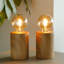 Ensemble de 2 lampes à piles Millwood Pines