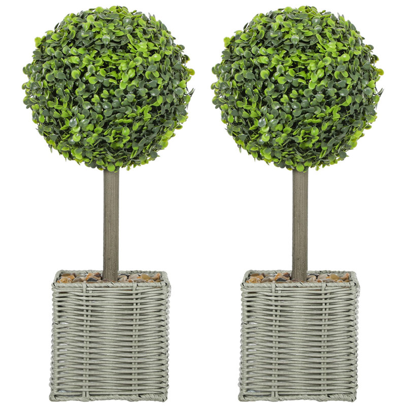 50cm Tree