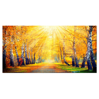 " Yellow Autumn Trees In Sunray "