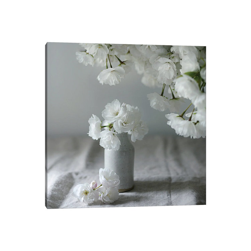 Baby Blooms by Sarah Gardner - Print on Canvas, Wrapped Canvas, 45.72 cm H x 45.72 cm W x 1.91 cm D