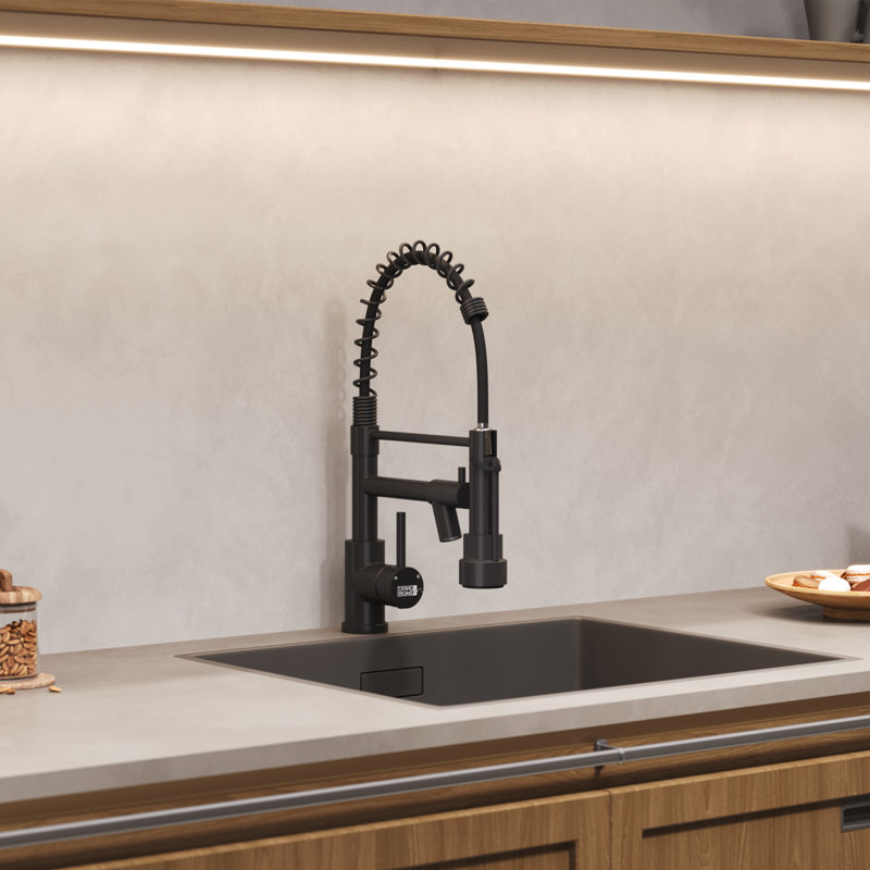 Belfry Kitchen Lippencott Pull Down Kitchen Faucet, Black