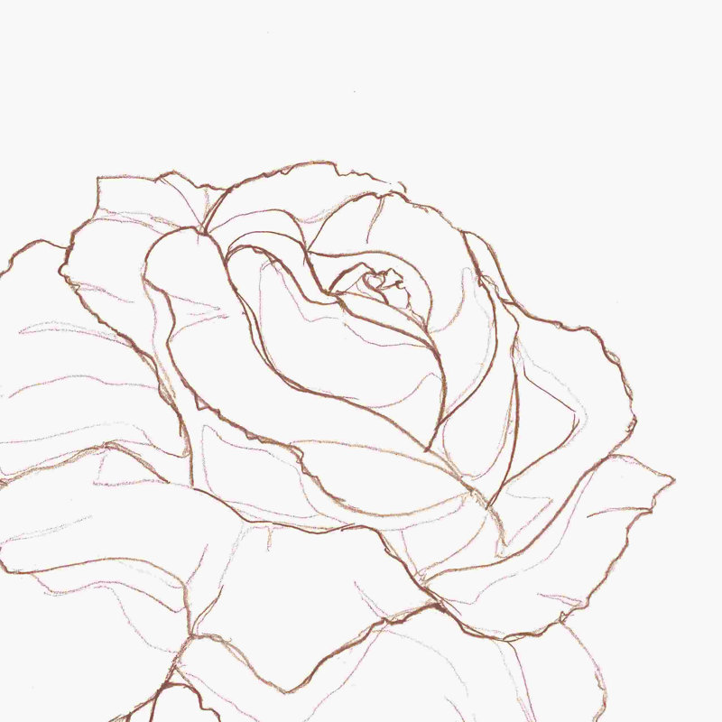 Crayon rose orange, H 20 po x l 20 po