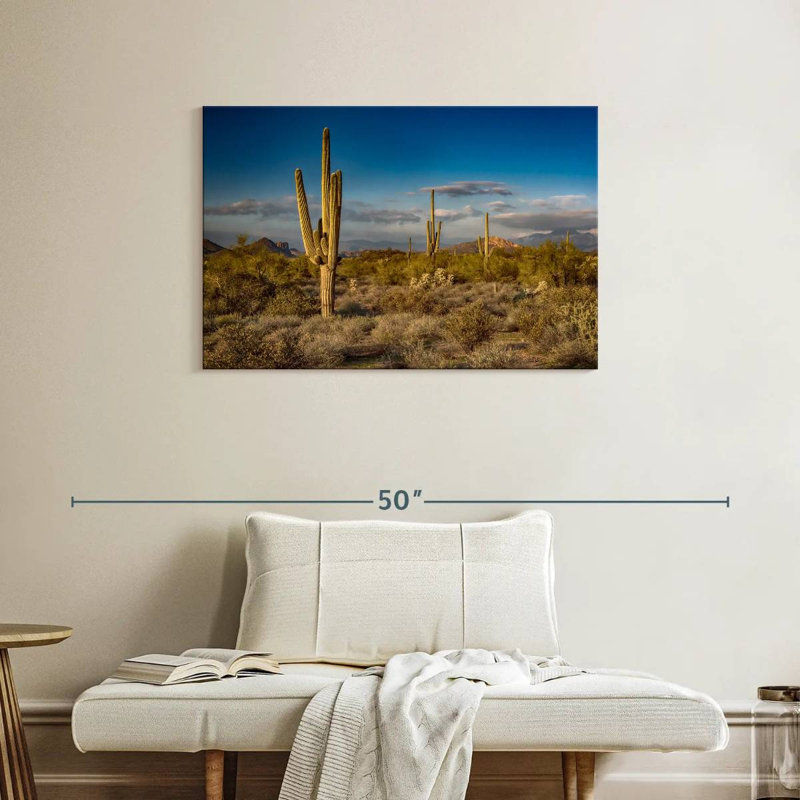 Harnek Arizona Desert Cactus, H 24 po x l 36 po