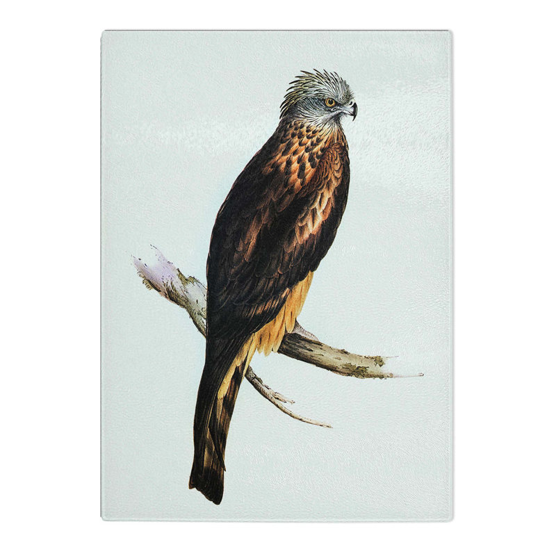 Tempered Glass Square-Tailed Kite by Elizabeth Gould Chopping Board, 28.5cm W x 39cm L