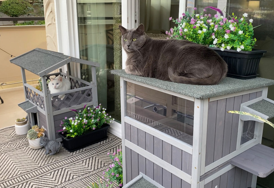 Aivituvin Cat Houses
