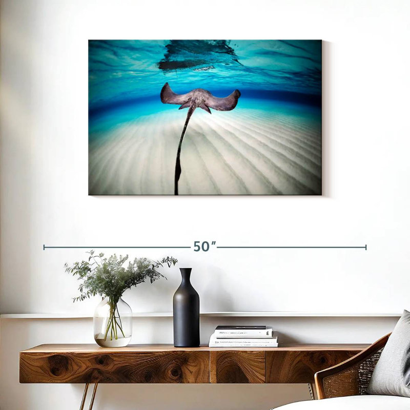 Paysage sous-marin Braming Stingray, H 24 po x l 36 po