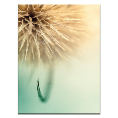 Print on Canvas