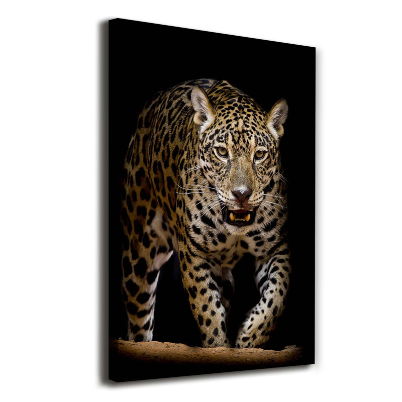 Jaguar - Wrapped Canvas Print