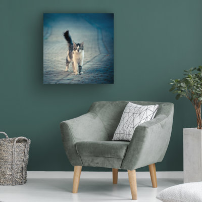 Wrapped Canvas Wall Art - Dejan Ilijic 'Little One' Wall Art for Living Room, Bedroom, or Office Décor - 14x14