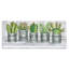 «Succulent and Cactus Jars with Plant Life Puns» par Cindy Jacobs - impression d'art graphique