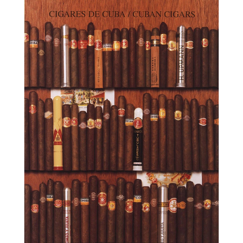 Cuban Cigars, 45" H x 36" W