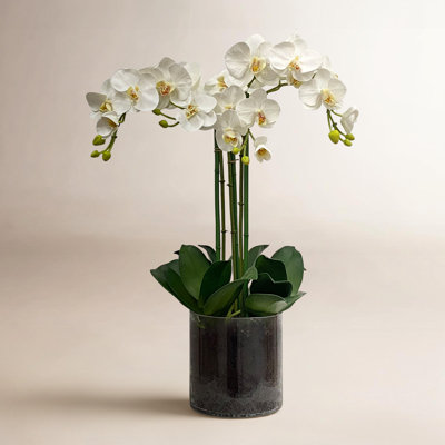 Arrangement in Vase