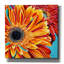 «Color Bursts II» par Carolee Vitaletti, art mural sur toile-61718596