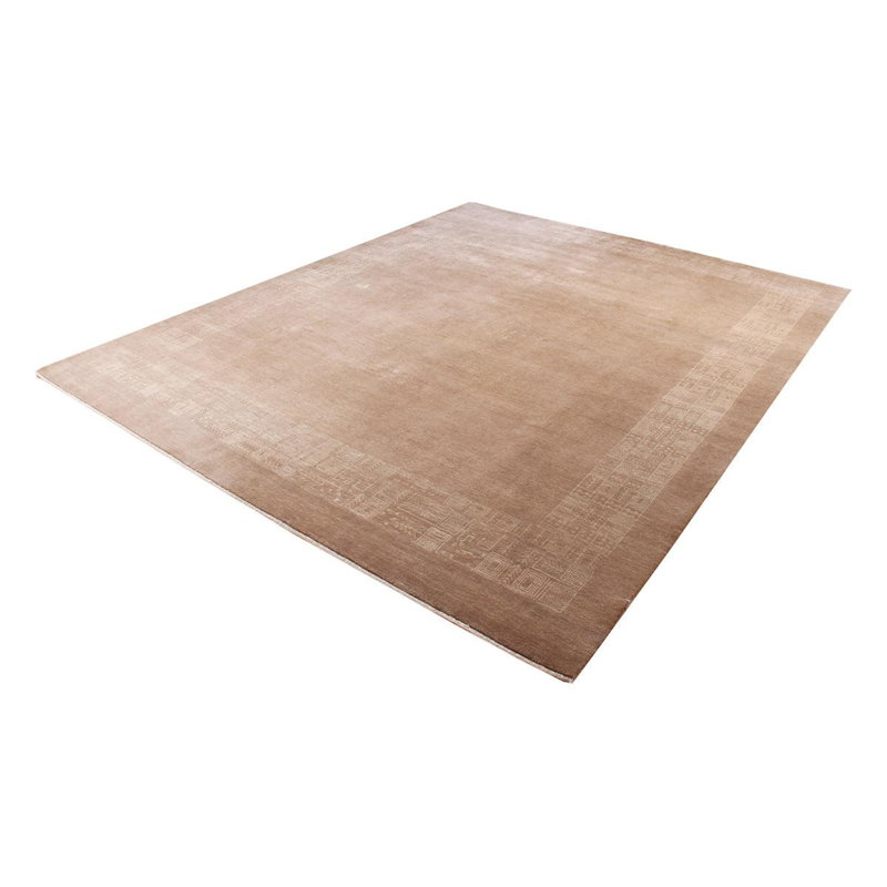 Oriental Area Rug in Beige