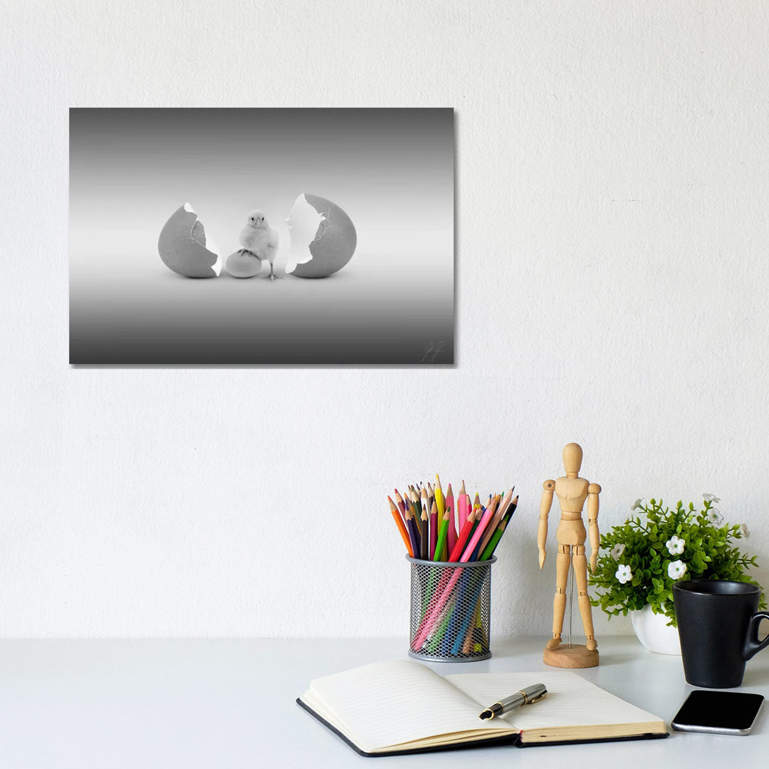 Which Came First by Kathrin Federer - Wrapped Canvas Gallery-Wrapped Canvas Giclée