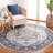 Astoria Performance Oriental Rug-972296208