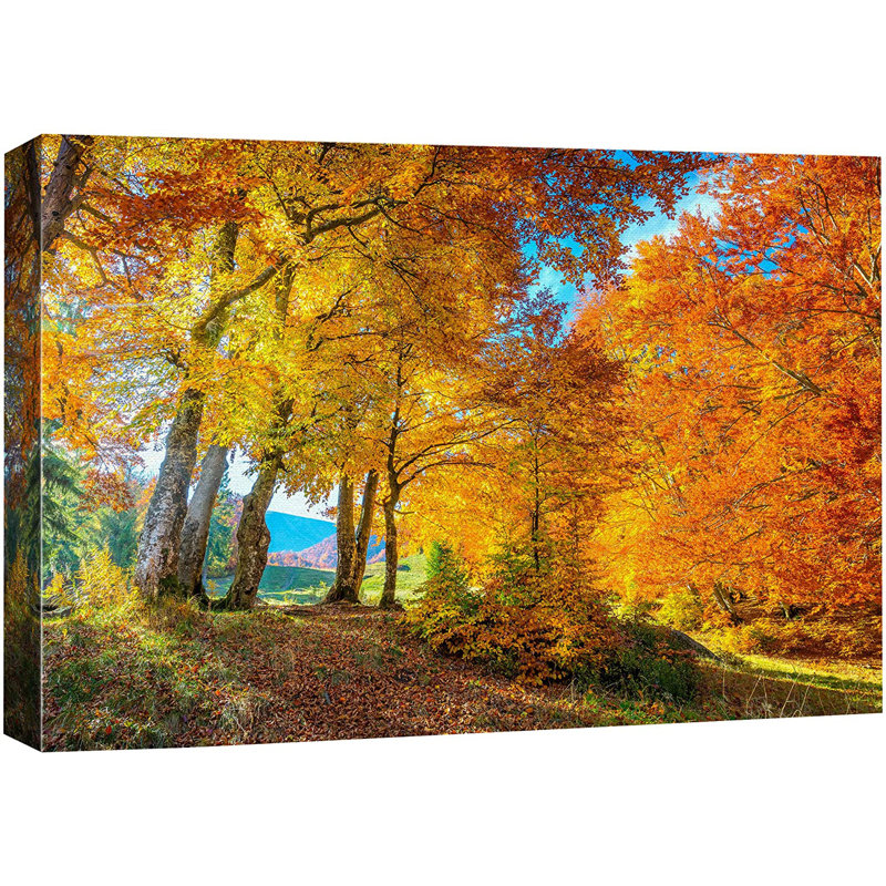 Automne, automne, jaune, arbre, forêt, nature, paysage, automne, images encadrées sur toile, Toile tendue, L 48 po x H 32 po