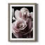 Rose noire II - photographie-1227621818-1227621813