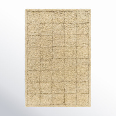Anemone Hand-Tufted Grid Shag Rug