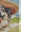 Chihuahua Canvas Wall Art