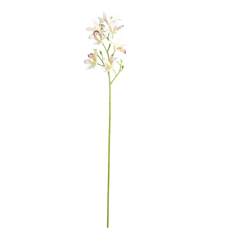 Tige d'orchidée artificielle, Blanc / Blanc